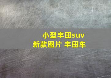 小型丰田suv新款图片 丰田车